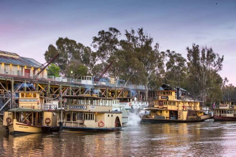 Melbourne: Murray River Paddle Steamer, Wine & Wildlife Tour - Key Points