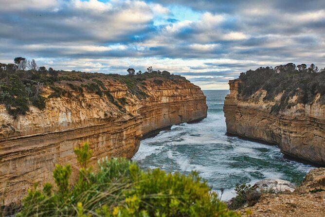 Melbourne Ocean Road Discovery Day Tour - A Closer Look at the Great Ocean Road Discovery Tour