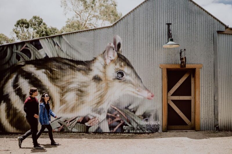 Melbourne: Penguin Parade & Churchill Island Farm Tour - FAQ