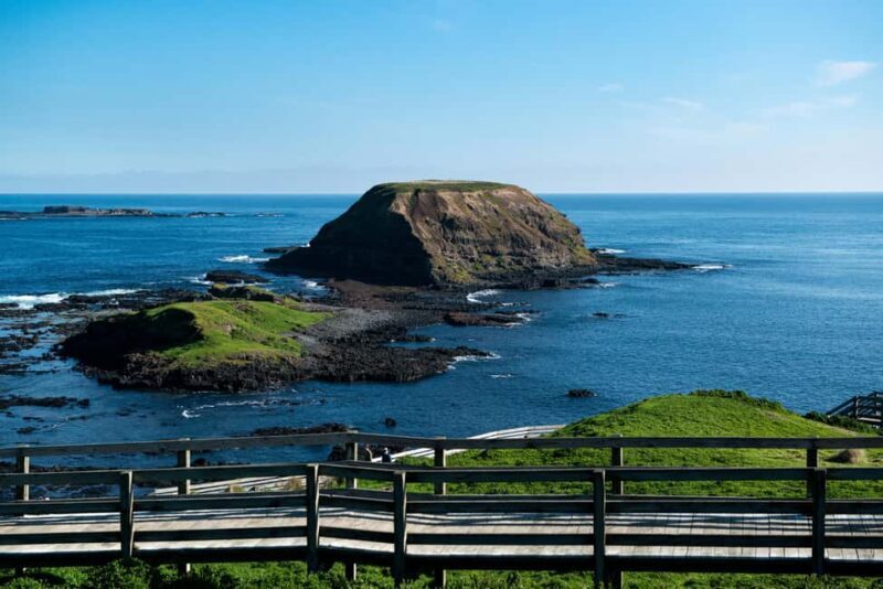 Melbourne: Penguin Parade , Koala & Brighton Bathing Boxes - Key Points