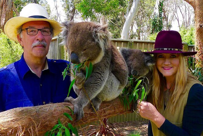Melbourne Penguin Tour & Wildlife kangaroos koala Emu Tasi Devil - Key Points