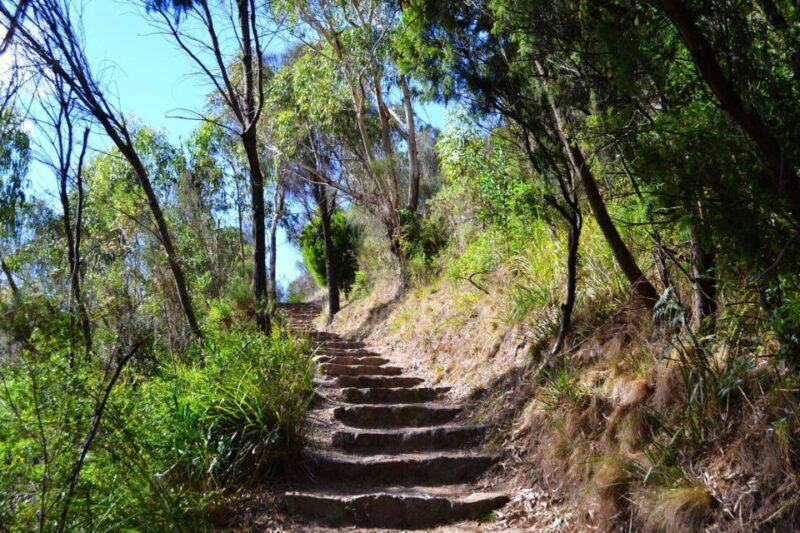 Melbourne: Peninsula Nature Private Day Trip with Dinner - An Authentic, Well-Rounded Exploration of Mornington Peninsula
