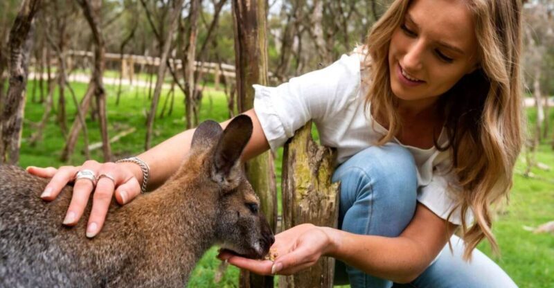Melbourne: Peninsula Nature Private Day Trip with Dinner - Who Will Love This Tour?
