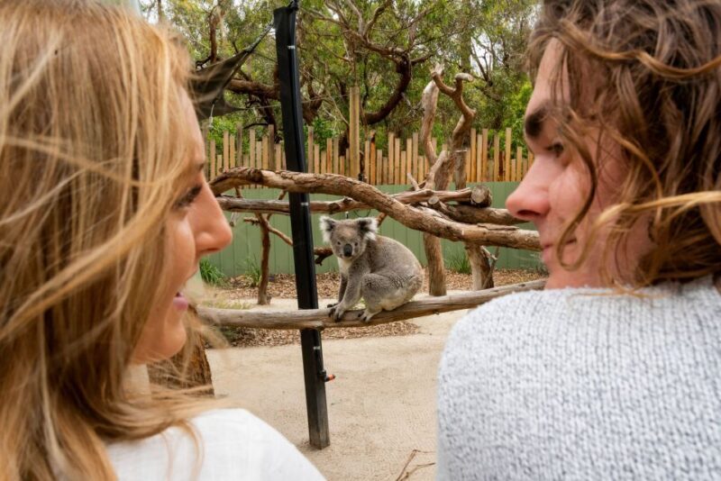 Melbourne: Peninsula Nature Private Day Trip with Dinner - FAQ