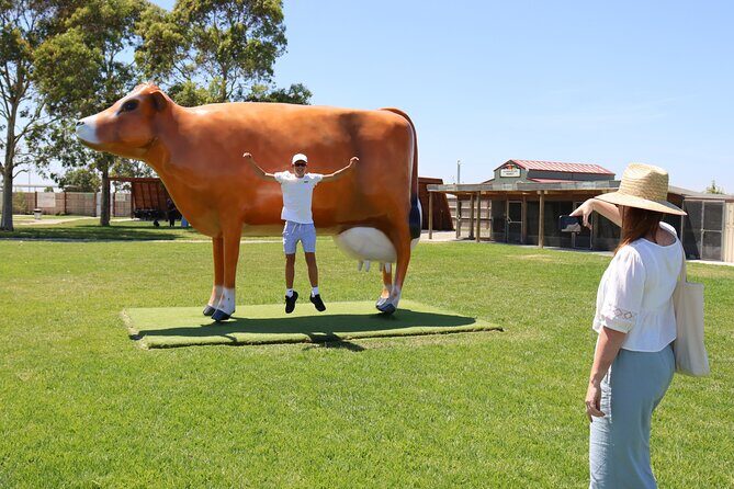 Melbourne Phillip Island 1 Day Tour - In-Depth Review of the Phillip Island Tour