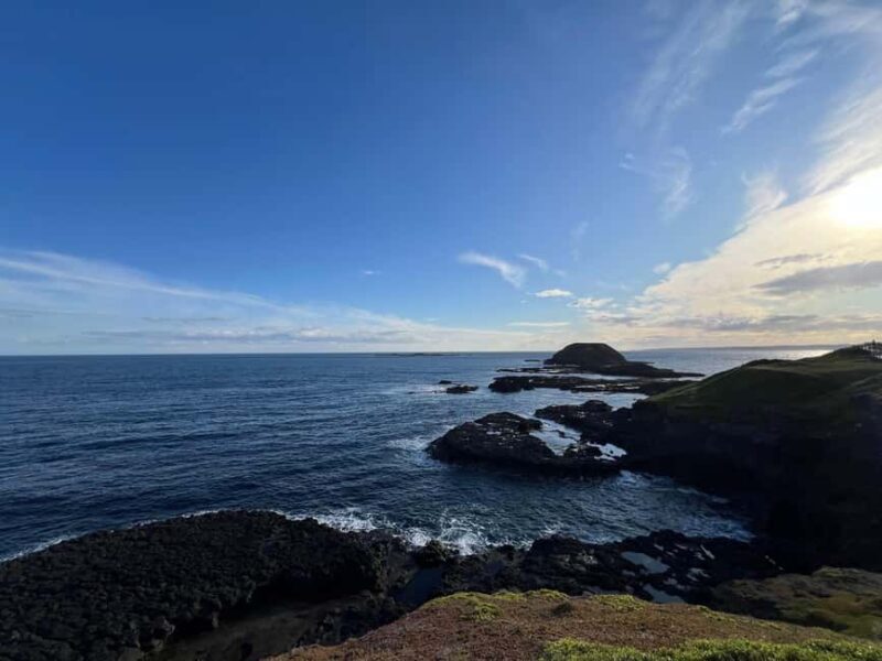 Melbourne: Phillip Island Private Tour including tickets - Is This Tour Worth the Price?
