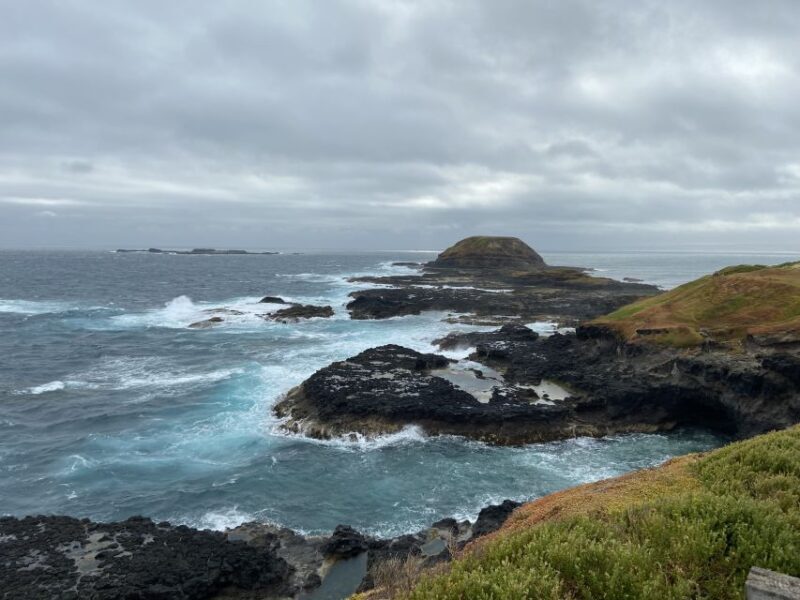 Melbourne: Phillip Island Tour & Penguin Parade - A Day of Australian Wildlife and Coastal Marvels