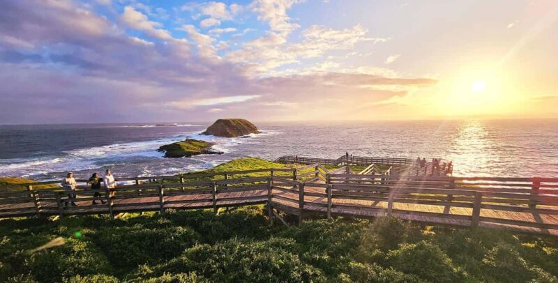 Melbourne: Phillip Island Tour w/ Hop-on Bus or Seal Cruise - Key Points