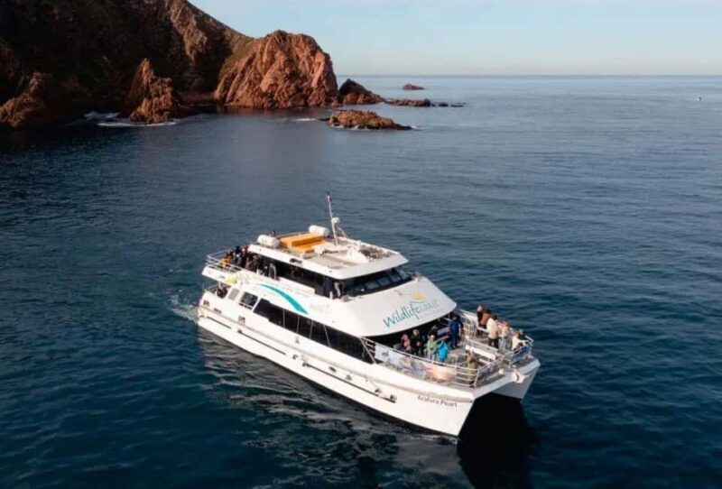 Melbourne: Phillip Island Tour w/ Hop-on Bus or Seal Cruise - An Inside Look at the Phillip Island Tour