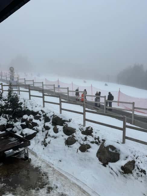 Melbourne: Private Lake Mountain Snow & Redwood Forest Tours - Melbourne: Private Lake Mountain Snow & Redwood Forest Tours – A Day of Natural Wonders