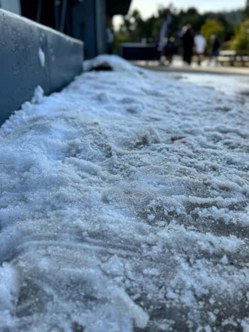 Melbourne: Private Lake Mountain Snow & Redwood Forest Tours - Key Points