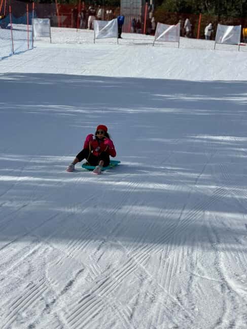 Melbourne: Private Lake Mountain Snow & Redwood Forest Tours - Why This Tour Offers Value