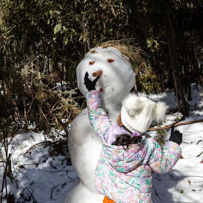 Melbourne: Private Lake Mountain Snow & Redwood Forest Tours - Who Will Love This Tour?