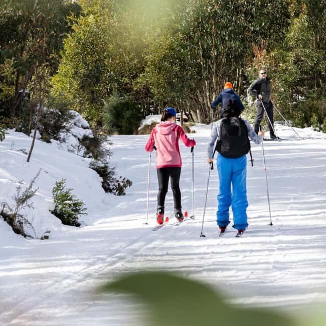 Melbourne: Private Lake Mountain Snow & Redwood Forest Tours - FAQ