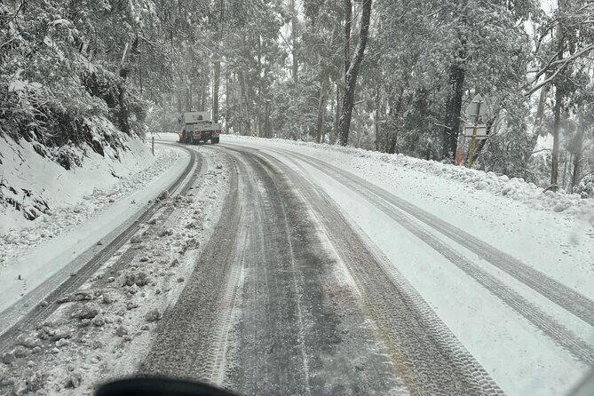 Melbourne: Private Mount Buller Snow and Ski Tours - Who Will Love This Tour?