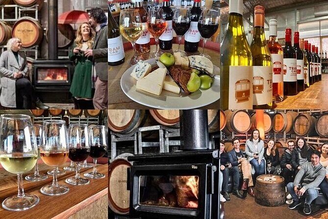 Melbourne Private Penguins Tour wildlife Wine Tour - Overall Value and Practical Tips