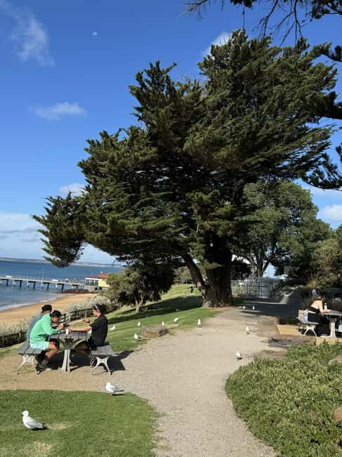 Melbourne: Private Phillip Island Penguin Parade Tours - An In-Depth Look at the Phillip Island Tour