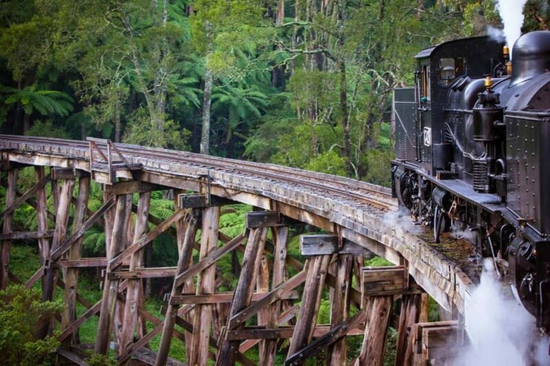 Melbourne: Private Puffing Billy Steam Train Ride - An In-Depth Look at the Tour Experience