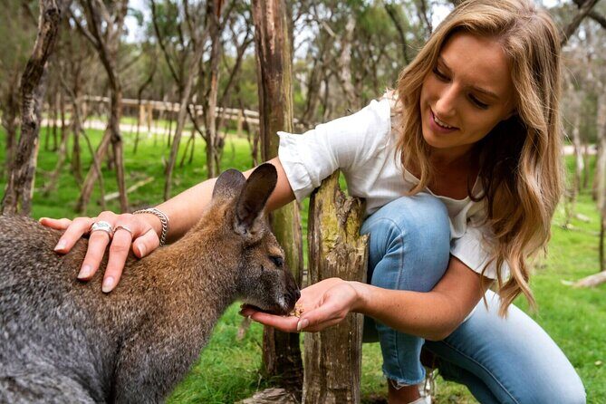 Melbourne Private Tour: Highlights & Hidden Gems with a local - FAQ