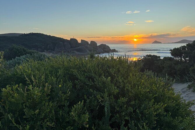 Melbourne: Private Wilson Promontory National Park Day Tours - The Itinerary in Detail