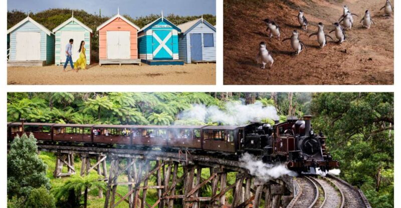 Melbourne: Puffing Billy Penguin Parade Brighton Boxes Tour - Introduction: A Perfect Day to Discover Melbournes Charm