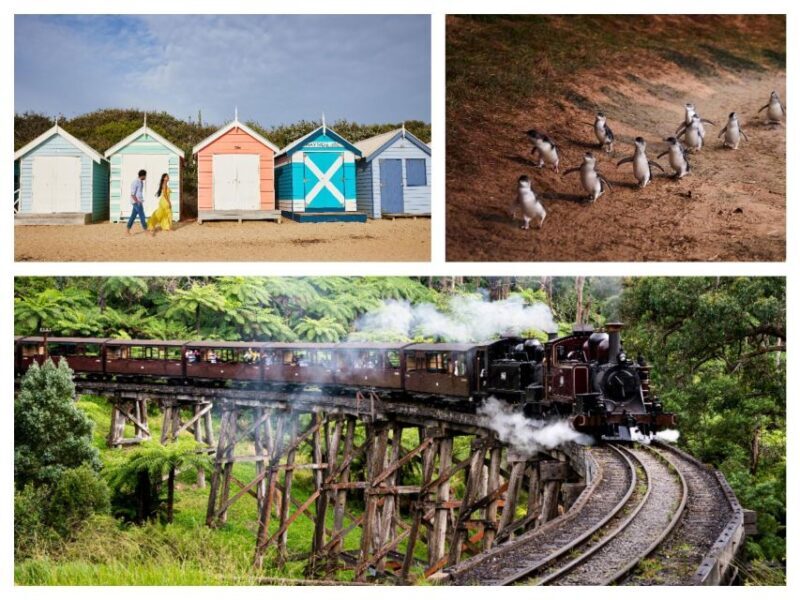 Melbourne: Puffing Billy Penguin Parade Brighton Boxes Tour - Deep Dive: What Makes This Tour Stand Out?