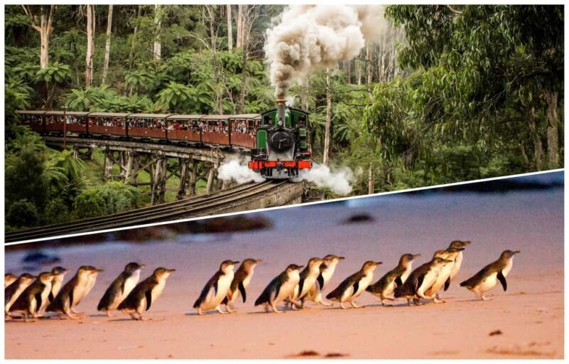 Melbourne: Puffing Billy Railway & Penguin Parade Day Tour - A Detailed Look At Your Day Out