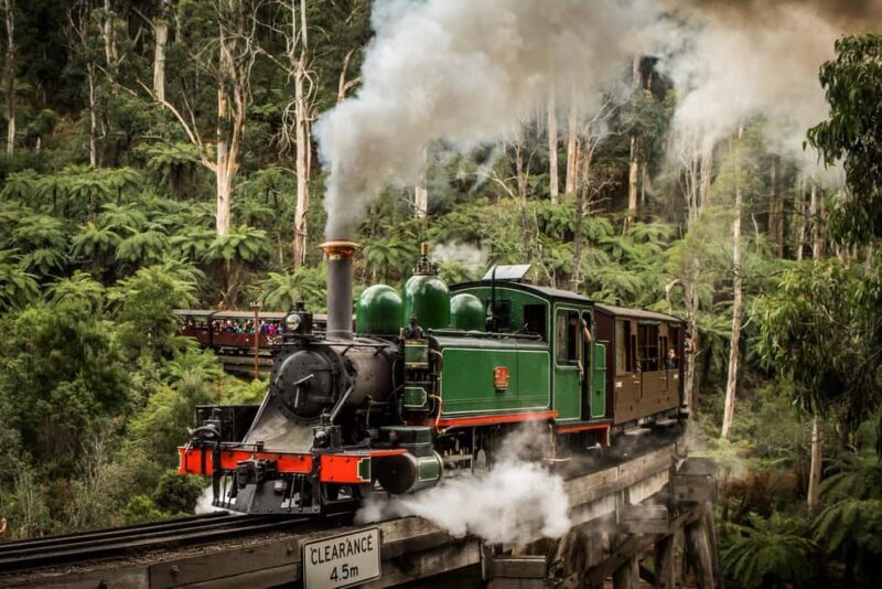 Melbourne: Puffing Billy Steam Train and Philip Island - What Makes This Tour Stand Out?