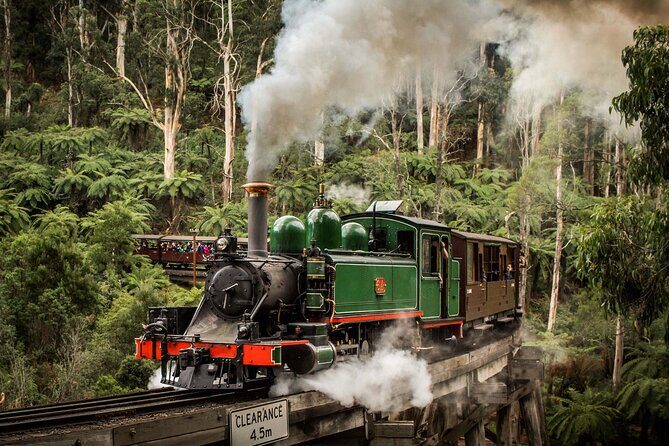Melbourne Puffing Billy Train and Penguin Parade Day Tour Escape - A Day of Contrasts: Puffing Billy and Penguin Parade Tour