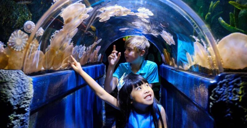 Melbourne: SEA LIFE Aquarium Entrance Ticket - Who Should Visit?
