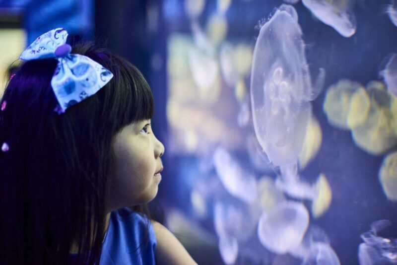 Melbourne: SEA LIFE Aquarium Entrance Ticket - FAQ