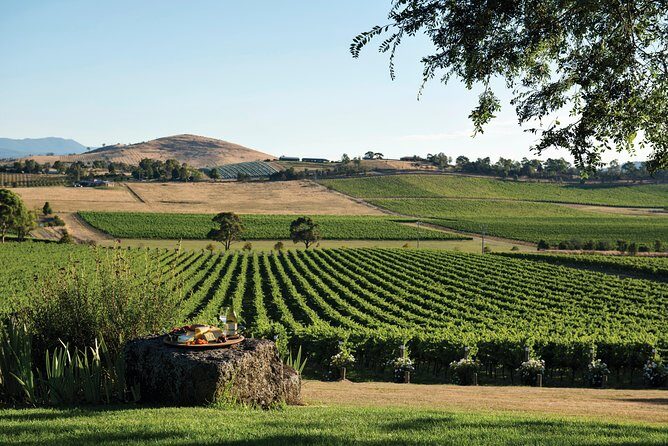Melbourne Shore Excursion, Aussie Wildlife, Lunch, Wine & Sights - Key Points