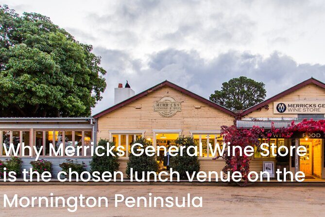 Melbourne Shore Excursion, Aussie Wildlife, Lunch, Wine & Sights - A Detailed Look at the Tour Experience