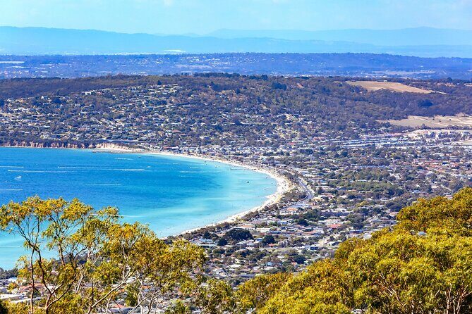 Melbourne Shore Excursion, Wine Region, Wildlife, Shared Tour - Practical Details and What to Expect