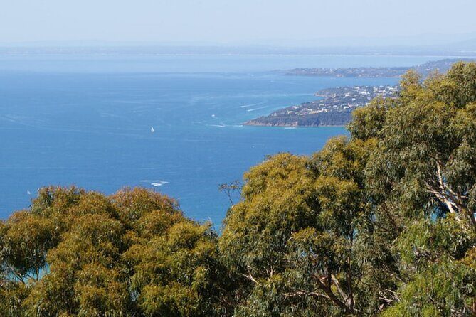 Melbourne Shore Excursion, Wine Region, Wildlife, Shared Tour - Final Thoughts
