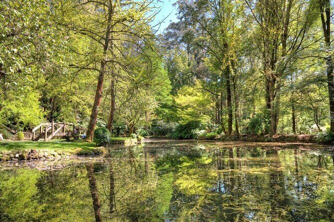 Melbourne Sky High - Private Bush Tour - Frequently Asked Questions