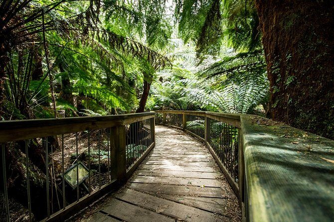 Melbourne to Adelaide 3 Day Southern Coast Overland Tour - Who Is This Tour Best For?