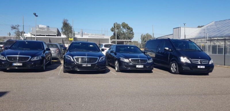 Melbourne to Adelaide Road Trip via Great Ocean Rd - 11 pax - The Journey: What to Expect from Melbourne to Adelaide
