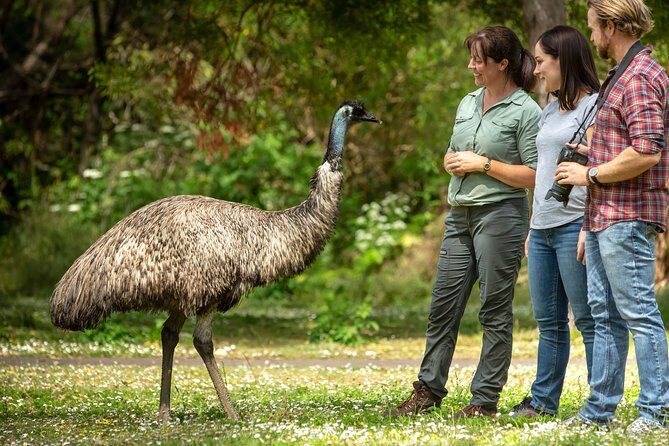 Melbourne to Great Ocean Road & Grampians 3 Day Escape - Who Would Enjoy This Tour?