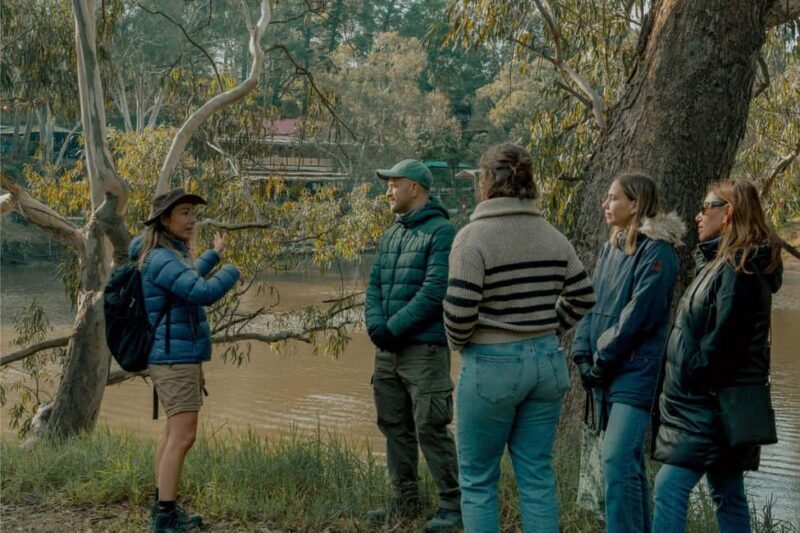 Melbourne Tour: Walk the Yarra & Historic Boathouse Lunch - Exploring Melbourne’s Yarra Bend Park: A Deeper Look
