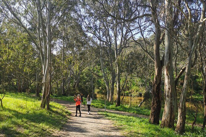 Melbourne Tours Walk the Yarra & Historic Boathouse Lunch - A Deep Dive into the Experience