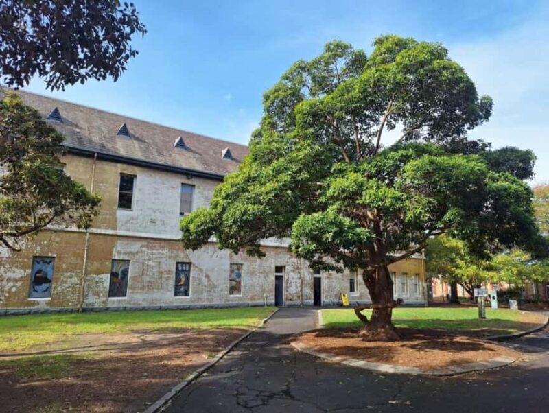 Melbourne: Walk the Yarra to Heritage Abbotsford Convent - Key Points