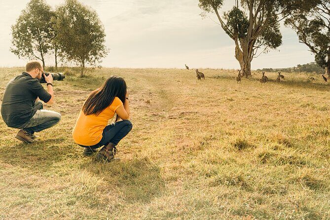 Melbourne wildlife nature hike with Kangaroos and sunset picnic! - The Sum Up