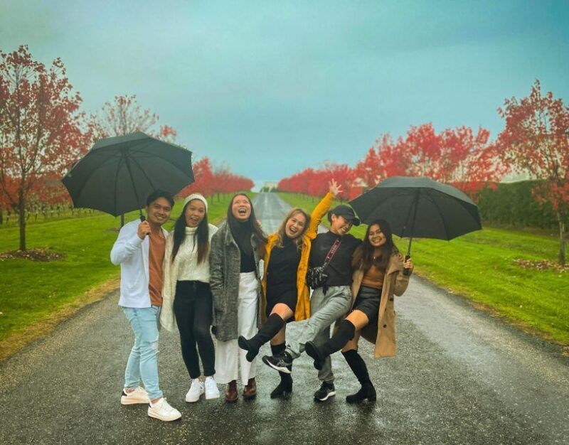 Melbourne: Yarra Valley Food & Wine Trip with 1 Wine Bottle - A Detailed Look at the Yarra Valley Tour Experience