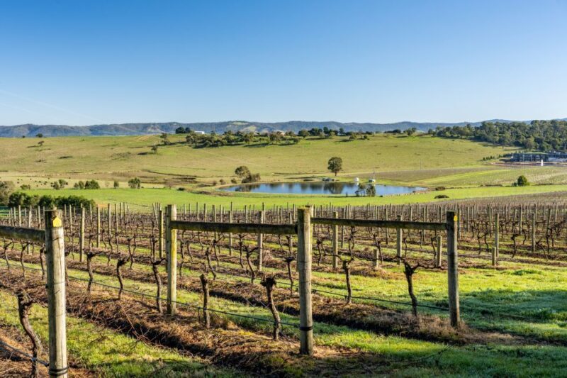Melbourne: Yarra Valley Wine, Cider, Gin, Beer, & Choc Tour - Final Verdict