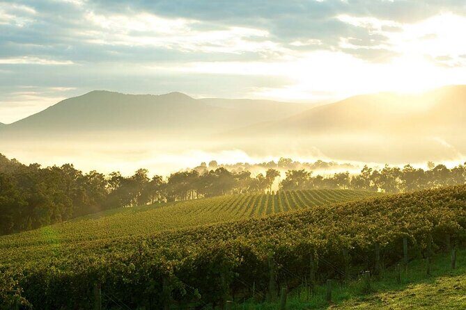 Melbourne Yarra Valley Wineries Explore Private Tour - What’s Included and What’s Not