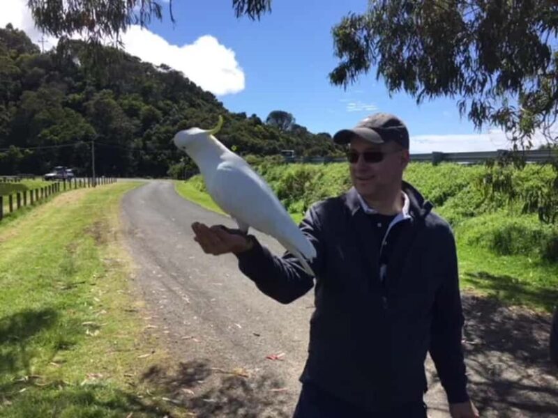 Melbourne: Yarra Valley Winery Private Tour with Lunch - Discovering the Yarra Valley in Style and Comfort