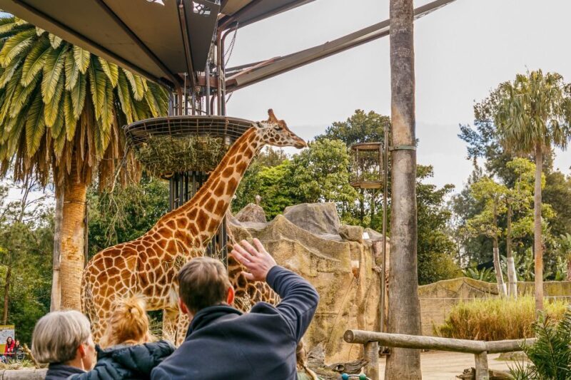 Melbourne Zoo: 1-Day Entry Ticket - In closing, Melbourne Zoo is a well-loved, solid choice for anyone wanting a fun, educational, and beautifully presented wildlife experience close to Melbourne’s city center. Whether you’re a family with kids, an animal enthusiast, or someone simply looking to enjoy a day outdoors, this zoo offers a meaningful glimpse into the animal kingdom that’s worth the visit.