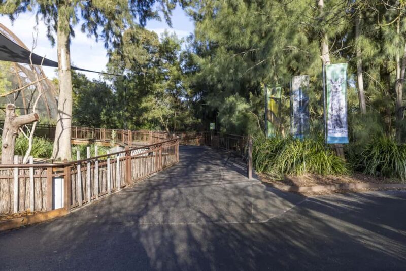 Melbourne Zoo: Australian Wildlife Experience Ticket - Detailed Breakdown of the Itinerary