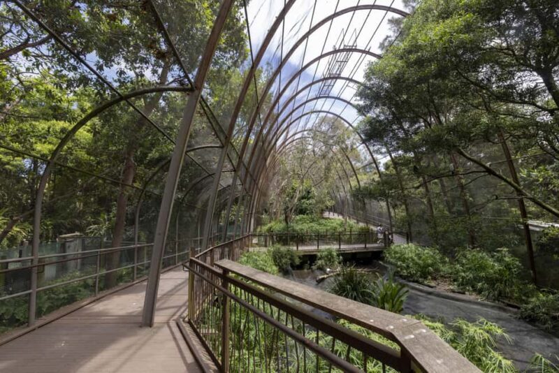 Melbourne Zoo: Australian Wildlife Experience Ticket - Who Will Enjoy This Tour?
